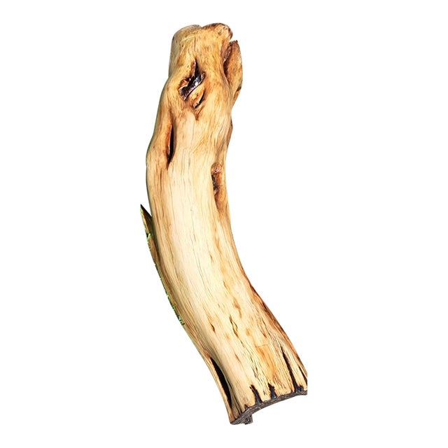 Hand Carved Wood Pedestal For Sale