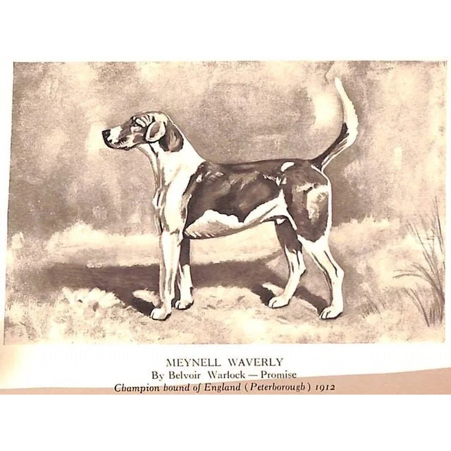 "Sport on Land and Water: Volumes I, Ii, Iii" 1913 Griswold, Frank Gray For Sale - Image 18 of 18