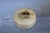 Stone Round Alabaster Jewelry Box, Italy, 1960s For Sale - Image 7 of 7