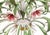 Florentine 12-Light Chandelier, 1960s For Sale - Image 4 of 7