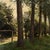 Antique Belgian Oil on Canvas Painting “Cows Grazing” by Xavier Wurth (1869-1933) For Sale - Image 11 of 15