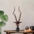 Kisumu Antelope Sculpture For Sale - Image 11 of 11
