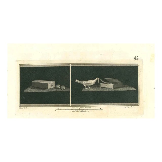 After Vanni, Vincenzo Aloja, Ancient Roman Still Life, Etching, 18th-Century For Sale