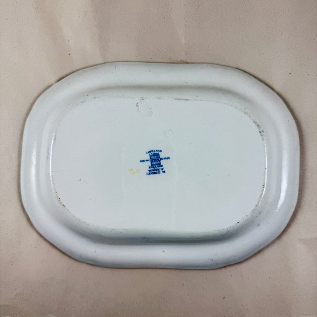 Ceramic Copeland Spode George III Bacon Platter For Sale - Image 7 of 11