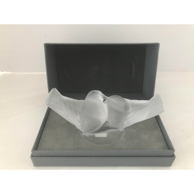 LaLique Society of America 1993 Crystal Love Birds New in Box For Sale - Image 11 of 13