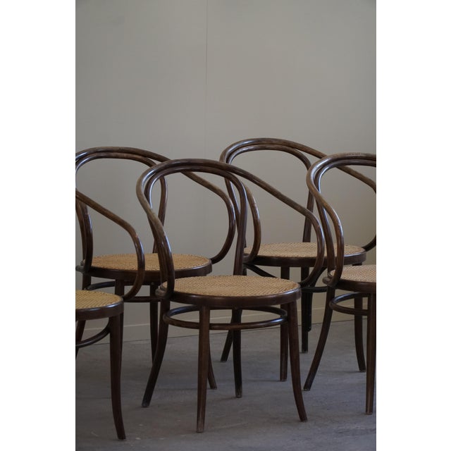 Thonet Mid-Century Vienna Chairs in Beech & Cane by ZPM Radomsko for Thonet 1960s, Set of 6 For Sale - Image 4 of 18