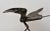 Metal Mid Century Steel Brutalist Bird Table Sculpture For Sale - Image 7 of 12