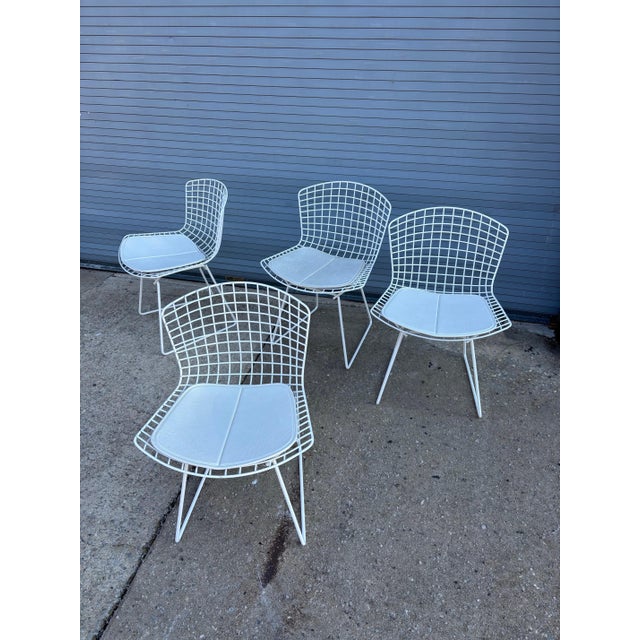 Bertoia for Knoll Dining Chairs - Set of 4 For Sale - Image 9 of 10