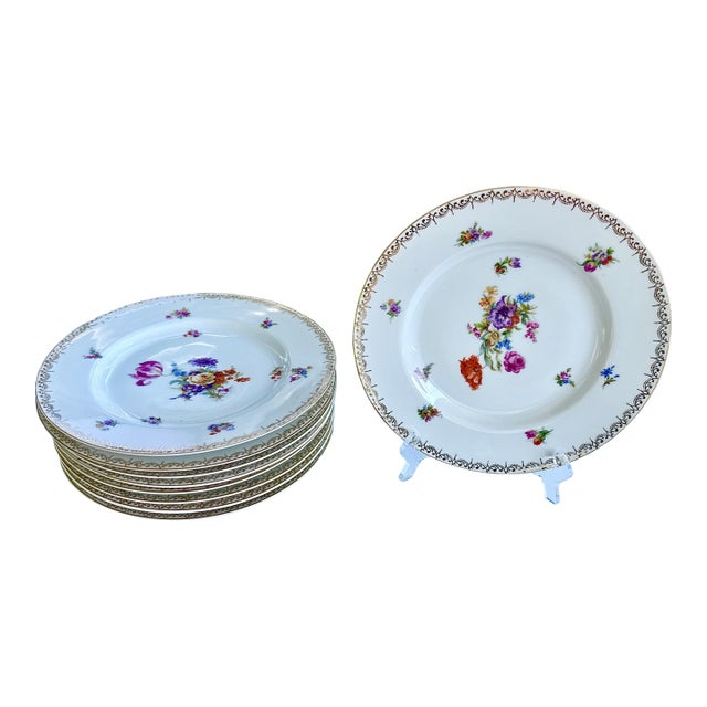 Dresden Hand Painted Mid-Century Dinner Plates - Set of 10 For Sale