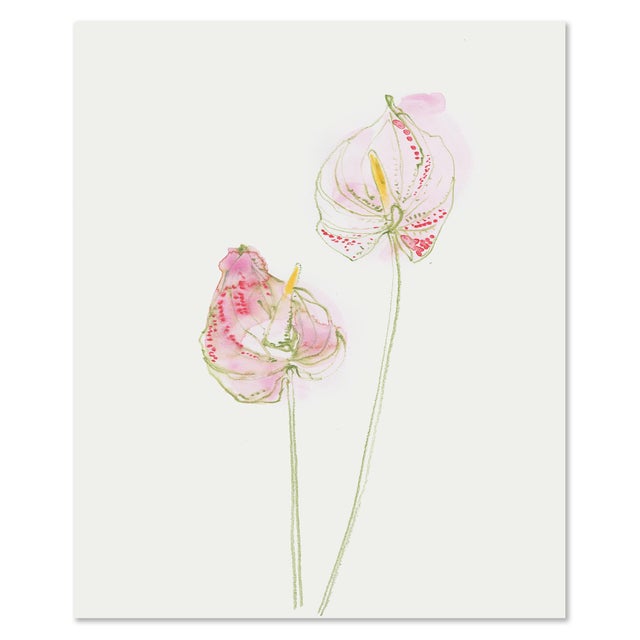 Illustration "Anthurium Lilies" Original Set of Three Watercolor Paintings by Yuki Osada For Sale - Image 3 of 5