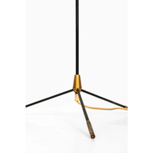 Hans Bergström Floor Lamp attributed to Hans Bergström for Eskilstuna Elektrofabrik, Sweden, 1950s For Sale - Image 4 of 8