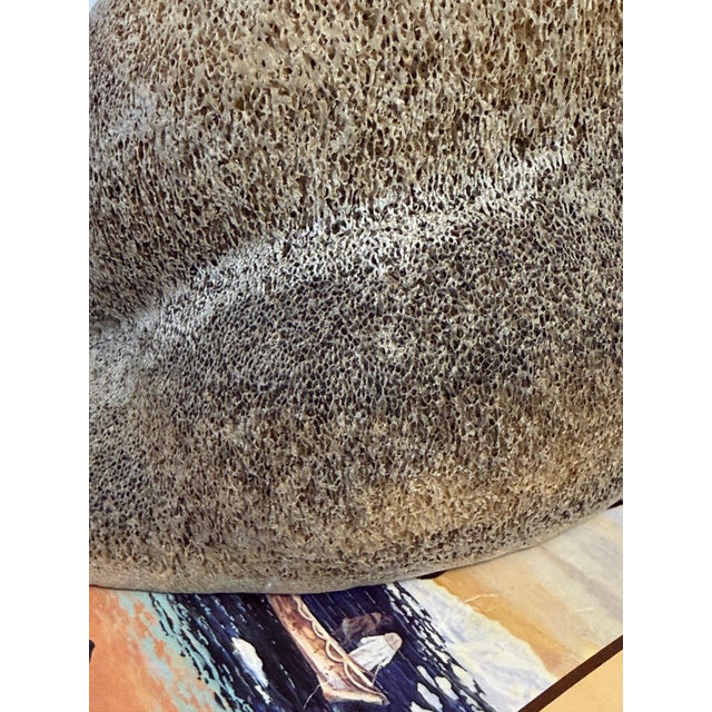 Beige 1970s Inuit Wilson Oozeva Carving of Polar Bear For Sale - Image 8 of 18