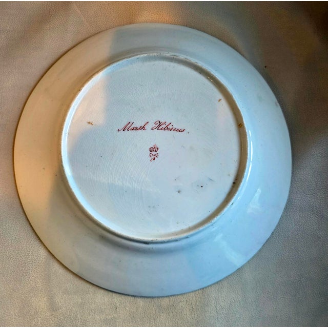 Antique Derby Porcelain Botanical Plate, Marsh Hibiscus, Salmon Ground With Gilt Swans, John Brewer, Circa 1815 For Sale - Image 12 of 12