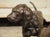 A French 1930s Hunting Dog Group on Marble Base For Sale - Image 15 of 18