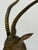 Brass Gazelle Sculpture on Variegated Green Marble Base, 1970s For Sale - Image 12 of 18