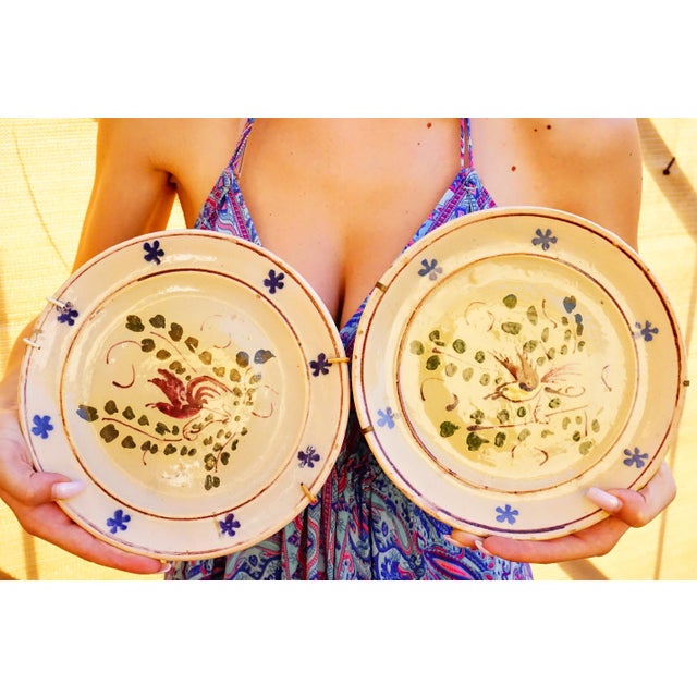 Ceramic Antique 18th Century Ceramic Plates, Viterbo, Italy, Set of 2 For Sale - Image 7 of 18