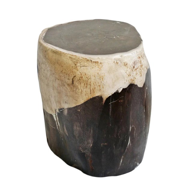Black Vintage Petrified Wood Stump Side Table For Sale - Image 8 of 8