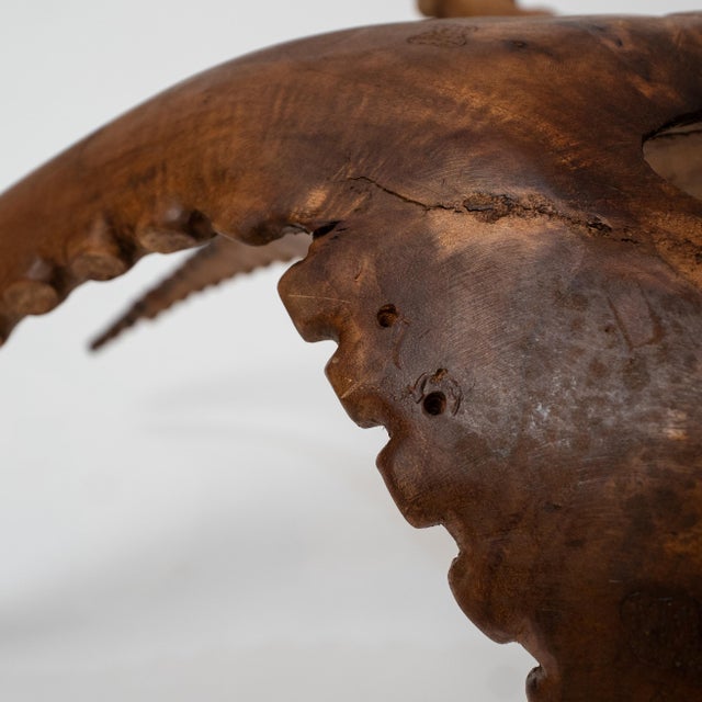 1990s Monumental Hand-Carved Balinese Suar Wood Octopus Sculpture For Sale - Image 15 of 17