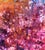 "Magnetic Personality" Abstract Composition by Charles David Francis For Sale - Image 4 of 9
