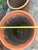 1970s Large Vintage Italian Terracotta Garden Planter With Rolled Rim, Tuscany For Sale - Image 5 of 12