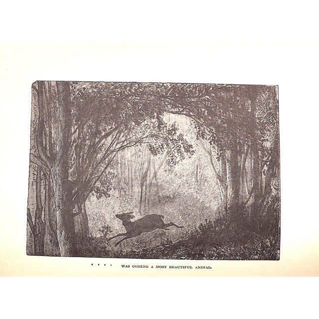 "An Adirondack Cabin: A Family Story Telling of Journeyings by Lake and Mountain, and Idyllic Days in the Heart of the Wilderness." Sydney, Margaret For Sale - Image 11 of 11