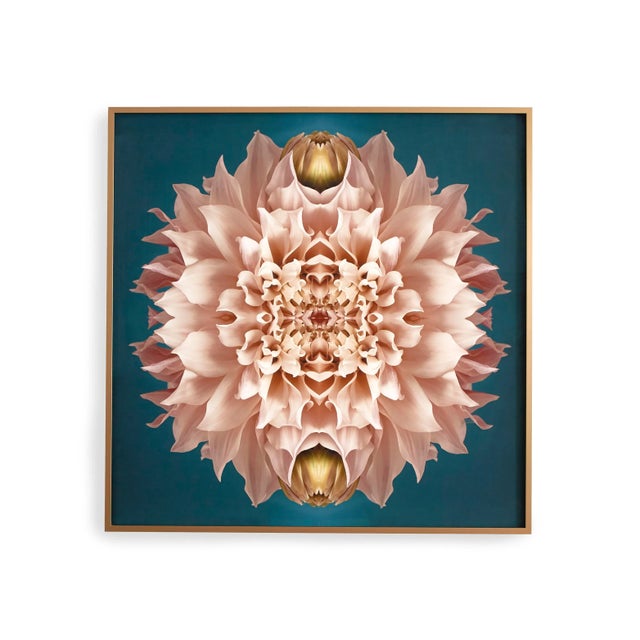 "No. 131" Contemporary Botanical Limited Edition Photograph by Erin Derby, Framed For Sale In New York - Image 6 of 6