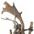 Pair of Fallow Deer Antler Sconces For Sale - Image 4 of 13