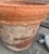 Large Vintage Italian Style Terracotta Garden Planter With Aged Patina For Sale - Image 10 of 10