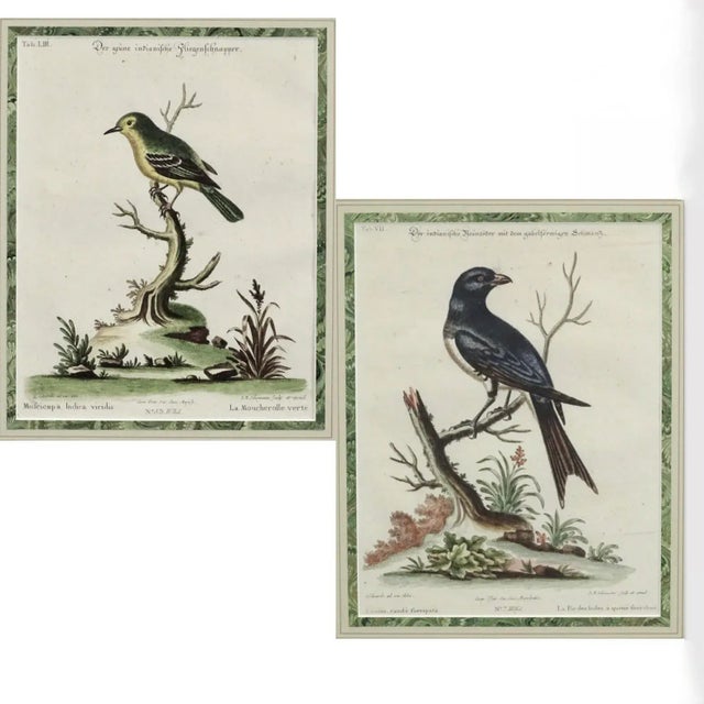 A pair of hand colored engravings, nicely matted with filage and green marbleized filets in fine burl wood frames. These...