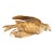 19th Century French Gilt Bronze Wounded Sparrow Bird, After Comolera For Sale