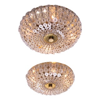 Floral Glass and Brass Flush Mounts, 1950, Set of 2 For Sale