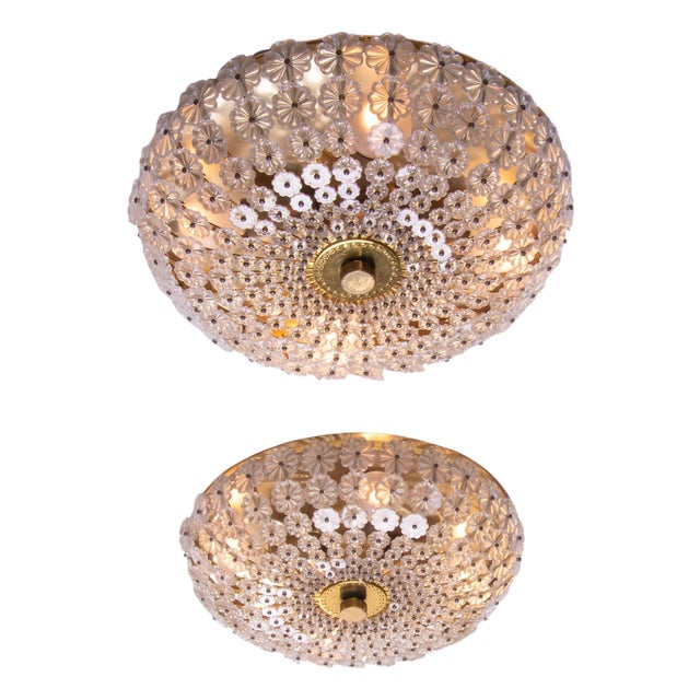 Floral Glass and Brass Flush Mounts, 1950, Set of 2 For Sale