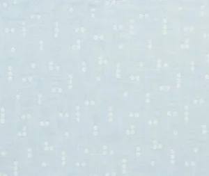 Sample - Schumacher X Caroline Z Hurley Great Rock Sheer Fabric in Sky
