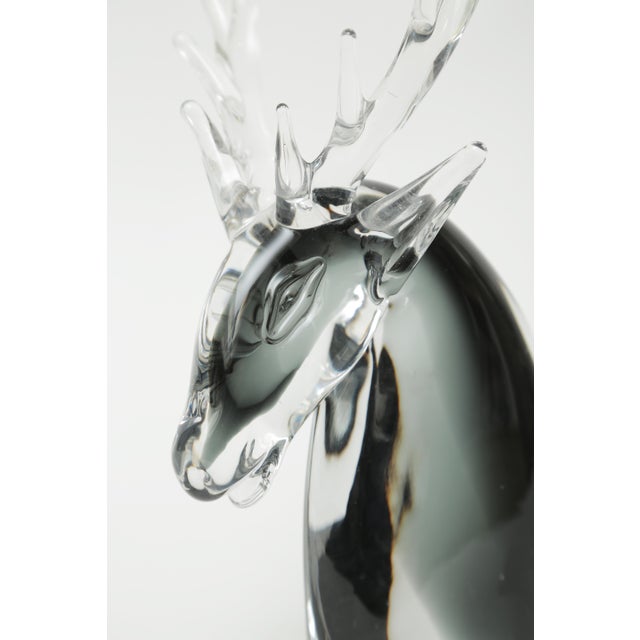 An unique piece of blown glass from the Isle of Murano off Venice. This nicely detailed piece features realistic details...