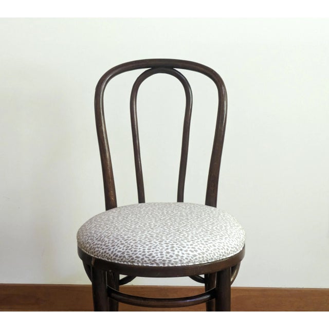 Wood Bentwood Cafe Chair - Animal Print Fabric For Sale - Image 7 of 10