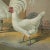 Christian Förster, The Distinguished Ramelsloher Chicken, 1888, Lithograph, Print For Sale - Image 3 of 10