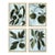 Fig Garden by Susan Hable For Sale