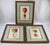Amazing set of 3 lithographs from the early 1900's from the U.S. Department of Agriculture yearbook. The Welch Peach and...