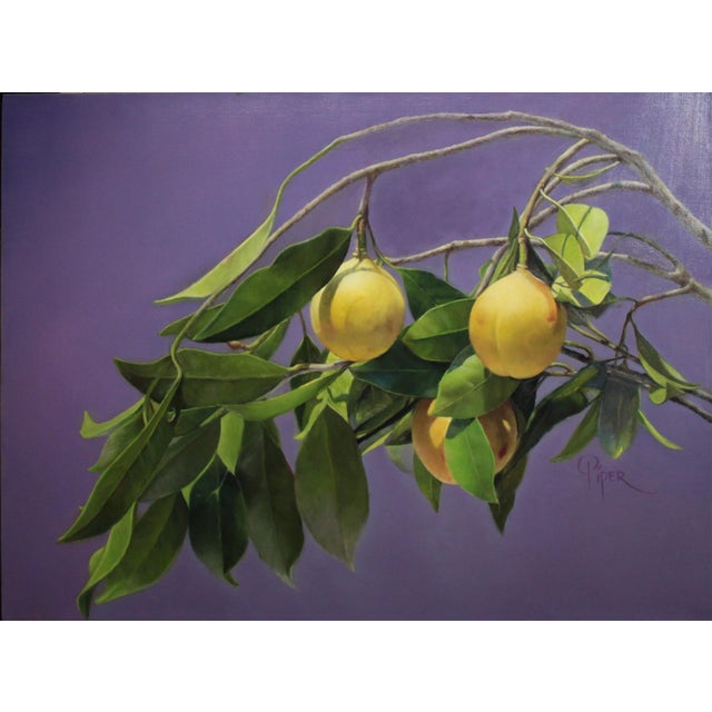 This oil painting captures a branch of nutmeg fruit, suspended against a soft, muted purple background that enhances the...