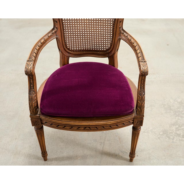 Early 20th Century French Louis XVI Style Carved Walnut Cane Fauteuil Armchair For Sale - Image 5 of 18