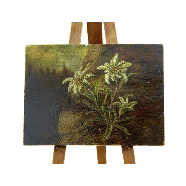 19th Century Miniature Oil on Board Painting of Edelweiss For Sale - Image 3 of 7