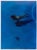 Swimming Pools, Vintage Offset Print after Franco Fontana, 1984 For Sale