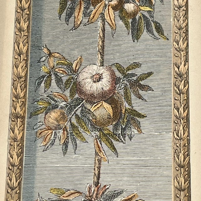 Vintage Hand Colored Engraving Old World European Fruit Swag For Sale - Image 12 of 18
