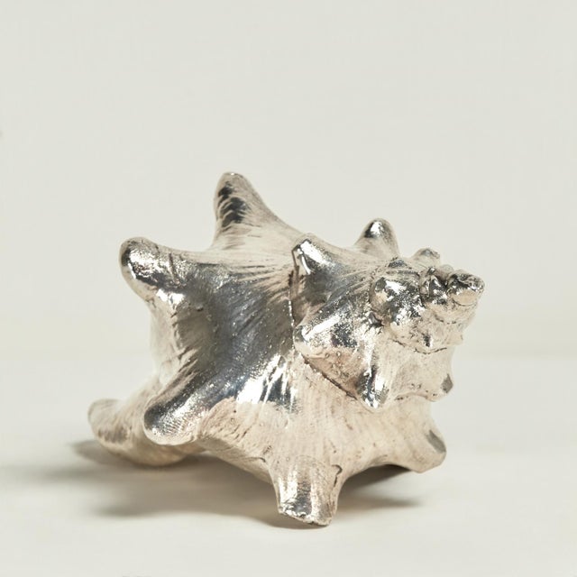 Mid Century Italian Sterling Coated Seashell by Federico Buccellati For Sale - Image 4 of 7