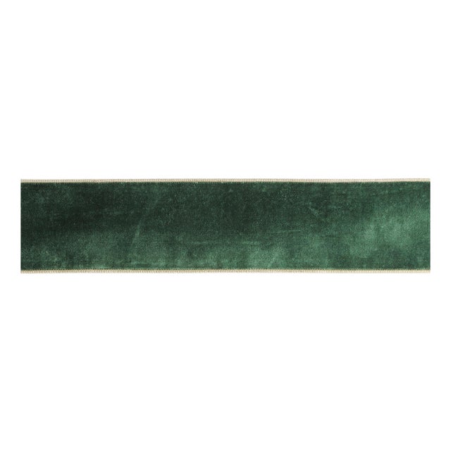 Velvet Wired Ribbon (Set of 2) For Sale
