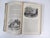 Green 1874 Polar and Tropical Worlds Arctic and World Expeditions Book For Sale - Image 8 of 16