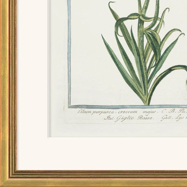 Archival Giclee Print. High quality materials and craftsmanship. Artisian handcrafted wood moulding imported from Europe....