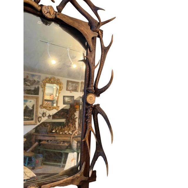 Antler Mirror German Antique Dog Rosette For Sale In Aspen - Image 6 of 10