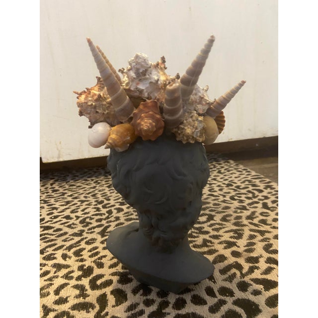 Charcoal Shell Encrusted Bust in Farrow & Ball Hopper Head For Sale - Image 8 of 12