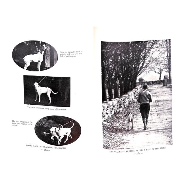 1930s "Nip and Tuck" 1939 Holland, Ray For Sale - Image 5 of 11